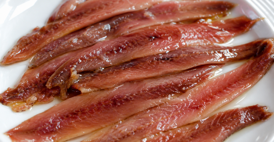 Platos para compartir: anchoas de santoña en los restaurantes más famosos de Madrid