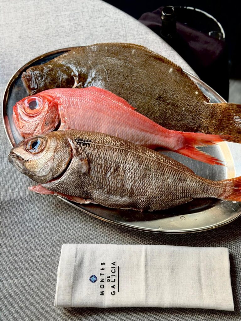 pescado salvaje